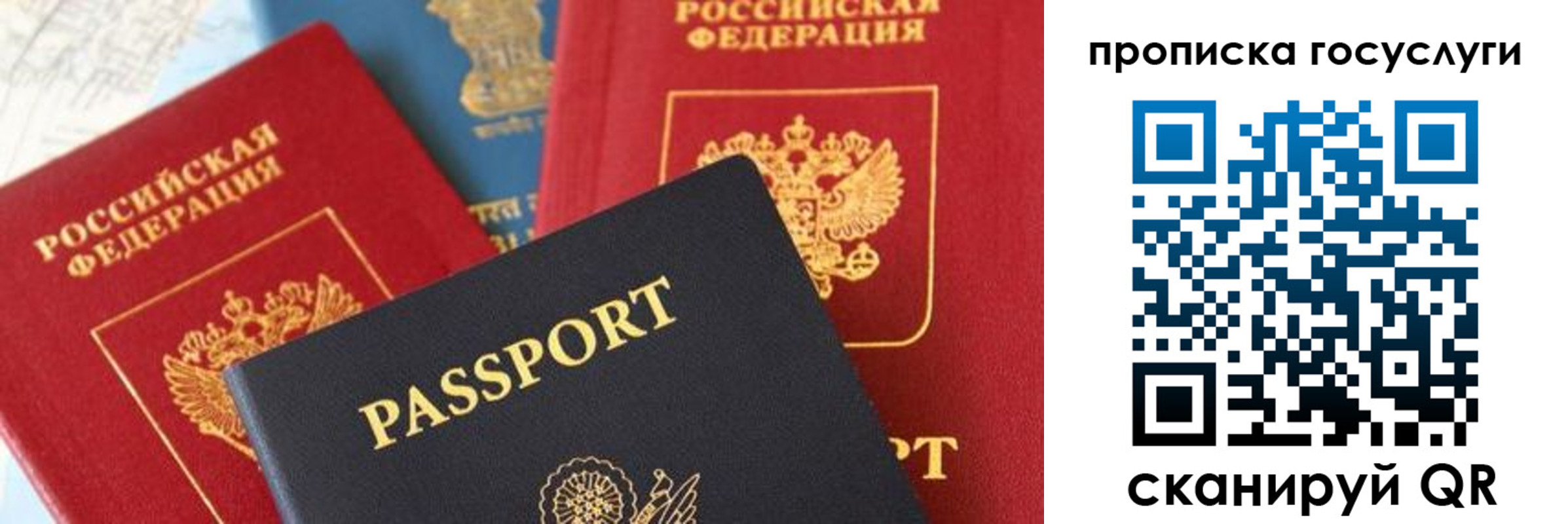 временная регистрация недорого в Видном